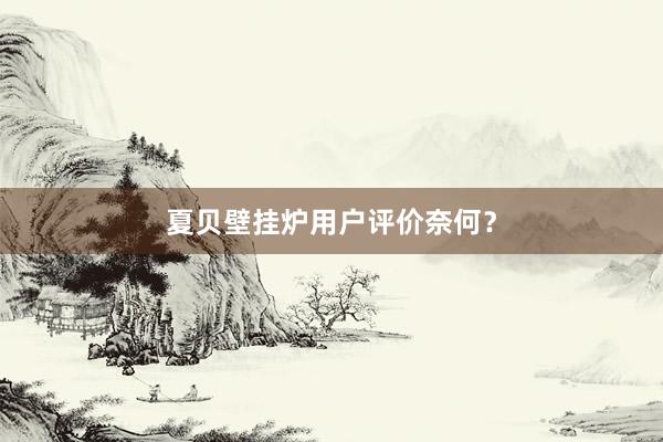 夏贝壁挂炉用户评价奈何？